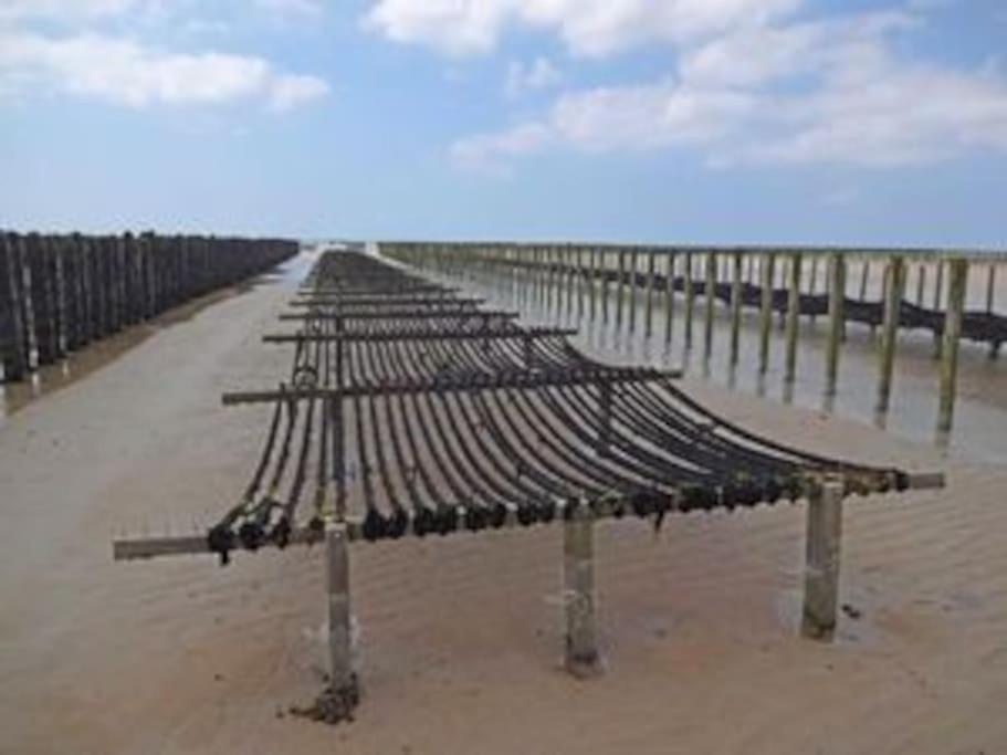 Maison Bord De Mer Individuel Gouville-sur-Mer Exteriér fotografie